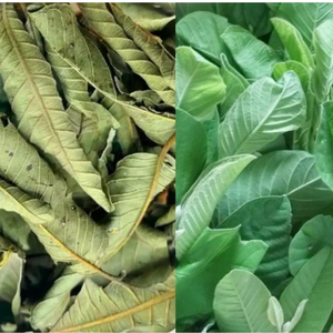 Precio de Liquidación: Guayabas Deshidratadas Naturales en Sacos de PP de 50 kg, Comprador Mayorista, Comercio Global, Fabricante Vietnamita, Estándar de Exportación - Product Image 3