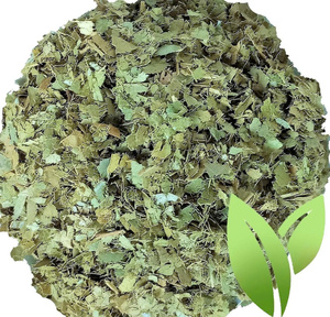 Té Negro Orgánico de Hojas de Guanábana Secas Premium, Sin Azúcar, en Bolsitas, Fabricante Mayorista, Etiqueta Privada OEM - Product Image 4