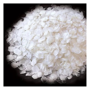 Escamas de Pescado Secas para el Desarrollo de Alimentos Funcionales, Mejora Nutricional y Usos en Productos para la Salud - Product Image 2
