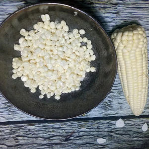 เมล็ดข้าวโพดแว็กซ์ออร์แกนิกคุณภาพสูง ราคาดีเยี่ยม เหมาะสำหรับการทำอาหารเพื่อสุขภาพ ธัญพืช อุตสาหกรรมขนมขบเคี้ยว และการส่งออกจำนวนมาก - Product Image 1