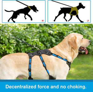 Adjustable XS <b>Dog</b> <b>Harness</b> <b>with</b> Handle 5-Point Escape Proof Nylon Anti-Pull Support Lift Small <b>Dogs</b> Outdoor Safety - Product Image 4
