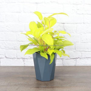 Jarrón de cubo de metal galvanizado Rústico 'Flores y jardín' Macetas de hierro vintage - Product Image 1