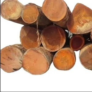 Bûches de pin de qualité supérieure, forme ronde, stockage à sec, origine Japon, qualité supérieure pour la décoration intérieure/extérieure - Product Image 6