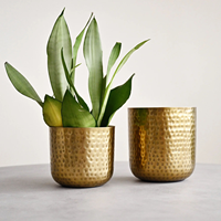 Ensemble de jardinières en métal doré martelé de luxe, plaqué chrome, moderne, pour plantes d'intérieur et d'extérieur, décoration pour la maison, le bureau, le salon, le jardin
