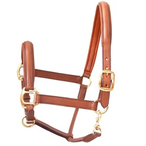 Premium English Saddle Style Horse Halter Softy Leather Padded Fancy Stitches Brass Hardware Personalizable LEATHER HORSE HALTER - Product Image 1