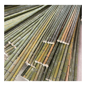 Poteau en bambou naturel, fabriqué à partir de bambou robuste, pour la construction, la clôture et la fabrication de meubles, fabriqué au Vietnam. - Product Image 2