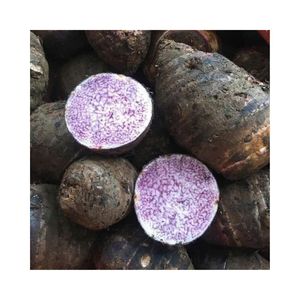 Taro Congelado IQF de Primera Calidad, 1 kg a Granel, Vegetales Congelados BQF, Alta Calidad, Mejor Precio, Exportación - Product Image 5