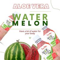 Sap Aloë Vera Drink 12X500Ml Fruitsmaak Aloë Jugo Perzik Met Echte Pulp Interverse Frisdrank Vruchtensap