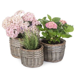 Fabricant vietnamien de pots de rangement au sol en rotin de style rétro, sculptés à la main, vintage, avec poignées, tissés à la main, écologiques, durables, 24L - Product Image 4