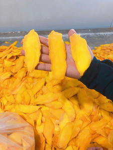 Tranche de mangue séchée dorée de qualité supérieure douce à mâcher et douce naturelle faite avec la technologie de séchage publicitaire Snack tropical par 99 Gold Data - Product Image 3