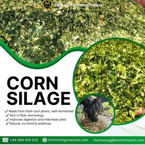 Silage de maïs de haute qualité pour l'alimentation du bétail avec une offre stable en provenance du Vietnam - Product Image 6