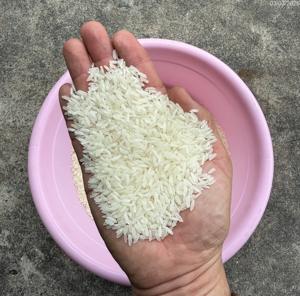 Arroz Blanco de Grano Largo Jazmín de Vietnam de Alta Calidad con 5% de Grano Partido, Proveedor Mayorista Directo de Fábrica para Exportación / ANNA DO - Product Image 1