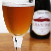 Vino de Arroz Japonés Premium CHANPAN, Vino Espumoso de Grado Ceremonial, 5% ABV, Vino de Mesa Seco en Botella con Té Negro