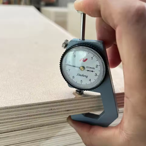 Contrachapado de Abedul con Grado CC, Bajo MOQ, Resistente, 18 mm de Espesor, para Aplicaciones en Exteriores, Jardín y Baño, Material de PVC - Product Image 4