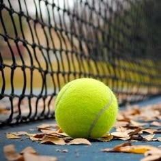 Pelota de Tenis Personalizada con Logotipo, Suave, Venta al Por Mayor, Nueva Oferta Especial 2026 |   Servicio OEM de Pelotas de Tenis Personalizadas de Alta Calidad - Product Image 3