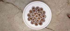 Bloques de Fibra de Coco MDS-Netted Coins de MDS Coco, con Propiedades Antifúngicas, Ecológicos y Biodegradables - Product Image 2