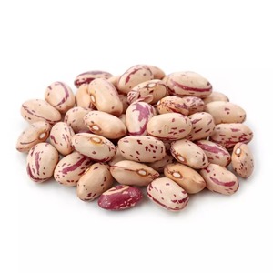 Haricots rouges clairsemés à grain distinct, procédés de transformation propres et ingrédient alimentaire exceptionnel - Product Image 2