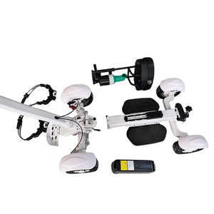 Dericsson 2025 with Lithium Battery Bag Electric 4-Wheel <b>Trolley</b> 2400W Aluminium alloy High quality Single Seat Golf Cart - Product Image 5
