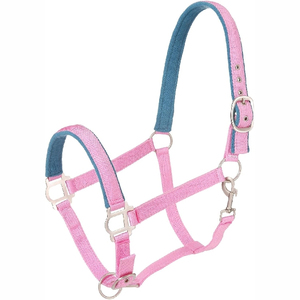 Harnais de cheval en nylon noir avec rembourrage blanc et boucles dorées pour l'équitation et l'entraînement - Product Image 5