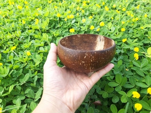 Tazón de Cáscara de Coco Hecho a Mano, Estilo Orgánico, Utensilios de Cocina Ecológicos para Uso Diario - Product Image 3