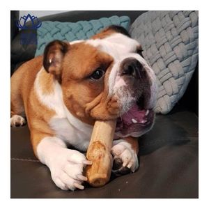 MUY SOLICITADO: Juguete Masticable de Madera de Café para Perros, Juguete Resistente que Promueve el Cuidado Bucal y Reduce la Ansiedad 2026 - Product Image 4