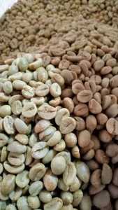 เมล็ดกาแฟอาราบิก้า โรบัสต้าคั่วคุณภาพสูง ราคาแข่งขัน สะอาด ผ่านกระบวนการล้างเต็มรูปแบบ บรรจุ 25 กก. ออร์แกนิค - Product Image 2
