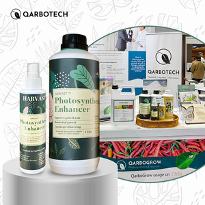 Ready To Spray Harvast Plant Growth Solution For Vegetable Photosynthesis Enhancement Malaysia Export - Product Image 3