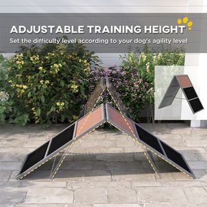 Rampa per Agility Canina per Attrezzature da Addestramento a Ostacoli - Product Image 4