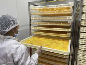 Wholesale Soft <b>Dried</b> <b>Mango</b> | Premium Natural Soft <b>Dried</b> <b>Mango</b> from Vietnam | Bulk Supply Organic <b>Dried</b> <b>Mango</b> for B2B - Product Image 4