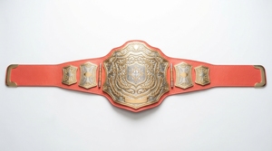 Custom Sports Championship <b>Belt</b> Personalized Metal Award Trophy <b>Belt</b> for <b>Wrestling</b> Boxing MMA Events - Product Image 2