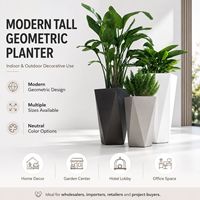Jardinière géométrique haute et moderne pour l'intérieur et l'extérieur, idéale pour les centres de jardinage, la vente en gros, la présentation en magasin et la décoration des espaces commerciaux