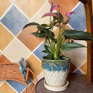 Pot de fleurs en céramique de haute qualité avec surface polie et lisse. Pot de fleurs décoratif en céramique pour chambre, salon et bureau. - Product Image 6