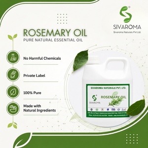 Huile essentielle de romarin de haute qualité pour les fabricants de produits cosmétiques, de soins capillaires et de soins personnels B2B - Product Image 3