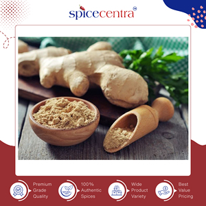 Prix bas du marché pour une poudre de gingembre cru séché 100 % pur de qualité supérieure pour la cuisine, provenant d'un fabricant et exportateur indien. - Product Image 2