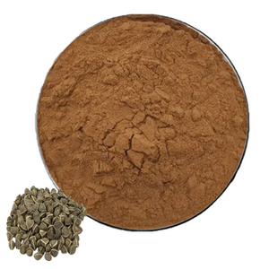 Poudre de graines de Moringa 100% pure de qualité supérieure, poudre de graines de Moringa naturelle, approvisionnement en vrac, favorise une digestion saine et fluide - Product Image 5