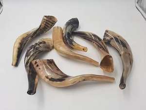 Corne de Shofar Spirituelle Artisanale Écologique Faite à la Main pour la Prière et la Méditation – Meilleure Vente - Product Image 5