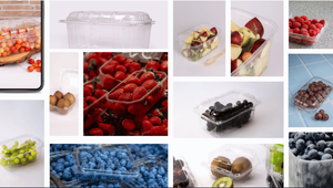 <b>Up</b> PET Thermoforming 0.2mm Thick Customized Size Blueberry Food Grade Transparent Plastic Fruit Container with Lid - Product Image 2
