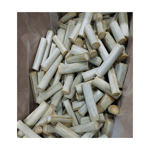 CAÑA DE AZÚCAR FRESCA CONGELADA AL POR MAYOR CON PRECIO COMPETITIVO Y ALTA CALIDAD PARA EXPORTAR DESDE VIETNAM - Product Image 1