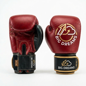 Gants de boxe en cuir Big Dreams 14 oz avec fermeture Velcro pour adultes - Product Image 1