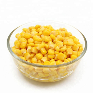 Maíz Amarillo y Maíz Blanco/Maíz Amarillo para Alimentación Animal - Product Image 2