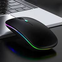 Souris optique sans fil rechargeable par USB de haute qualité, rétroéclairée par LED RVB 2.4G pour ordinateurs portables et PC
