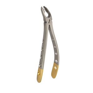 Premium Dental Extraction Forceps Stainless Steel Surgical <b>Tooth</b> Removal Instrument Reusable Dental <b>Tool</b> OEM Supplier - Product Image 5