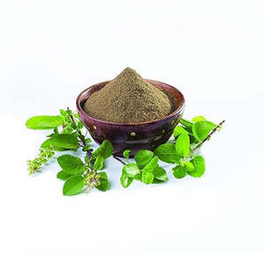 ผงใบตุลซี ออคิมัม แซนคัม สมุนไพรธรรมชาติ อายุรเวท โภชนาการขั้นสูงจากพืช วัตถุดิบจากพืชตามประเพณี สารสกัดจากสมุนไพร - Product Image 3