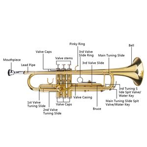 Set di Guanti Regolabili per Tromba - Strumenti in Ottone Dorato con Tonalità Drop B - Product Image 3