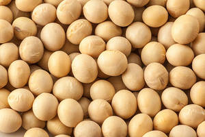 Semillas de Soja No Transgénicas para Alimentación de Ganado, Soja Amarilla de Grado Alimenticio, 18 Meses de Vida Útil, Bolsas de PP de 50 kg - Venta al Por Mayor - Product Image 6