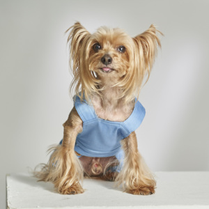 Ropa de algodón orgánico para perros y mascotas ODM 100%, peto de poliéster lavable de estilo clásico sencillo para verano y primavera - Product Image 3