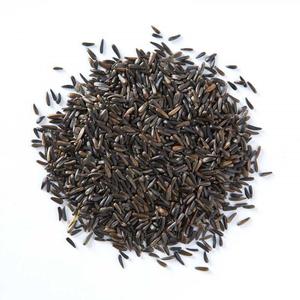 100% Natural Oil Bearing Agricultural <b>Seed</b> With Strong Nutritional Profile Sourced From Trusted Niger <b>Seed</b> Harvests - Product Image 3