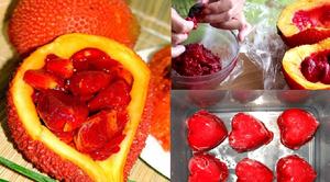 Suplemento alimenticio saludable de aceite Gac vietnamita de alta calidad para cocinar - Product Image 3