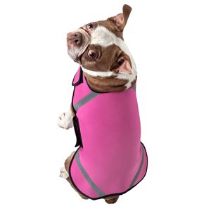 Abrigo Multiusos de Neopreno Extremo para Perros, Protector de Patas y Calentador, Tallas Extra Pequeña a Grande - Product Image 3