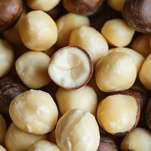 โรงงานเวียดนามผลิตเม็ดแมคคาเดเมียอบแห้งแบบแกะเปลือก คุณภาพพรีเมียม ขายส่งจำนวนมาก รับผลิตแบบ OEM สำหรับส่งออก - Product Image 4